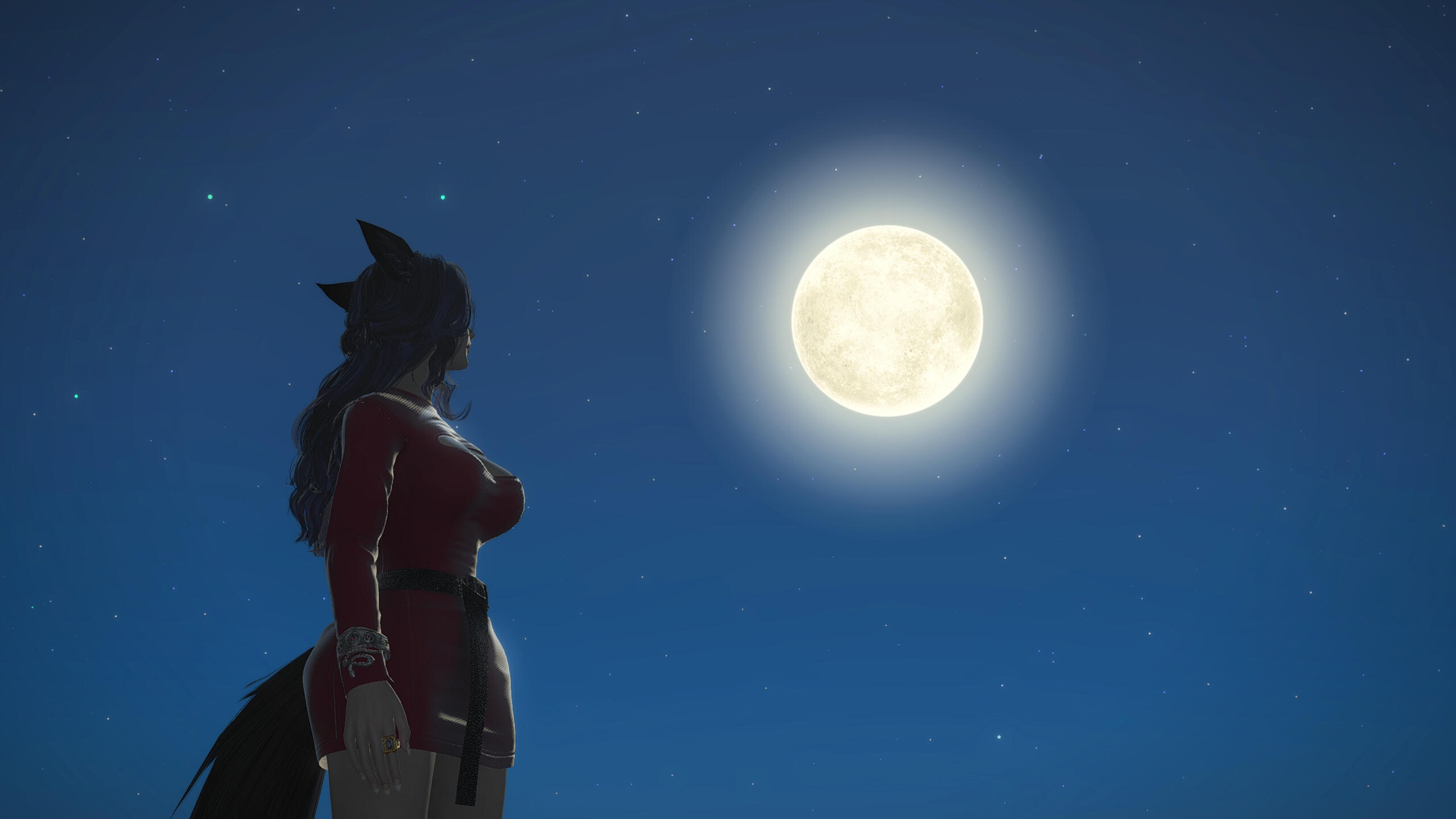 Moon Little Moon Moon Little Moon
